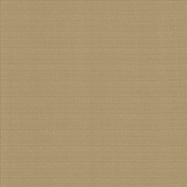Resilient Mouse by Kasmir Fabric 5173 100% Polyester
 CHINA 100,000 Wyzenbeek Double Rubs </p><p>Repeat: Horizontal: N/A and Vertical: N/A 54 - Fabric Carolina -