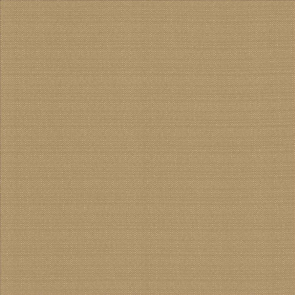 Resilient Mouse by Kasmir Fabric 5173 100% Polyester
 CHINA </p><p>Repeat: Horizontal: N/A and Vertical: N/A 54 - Fabric Carolina -