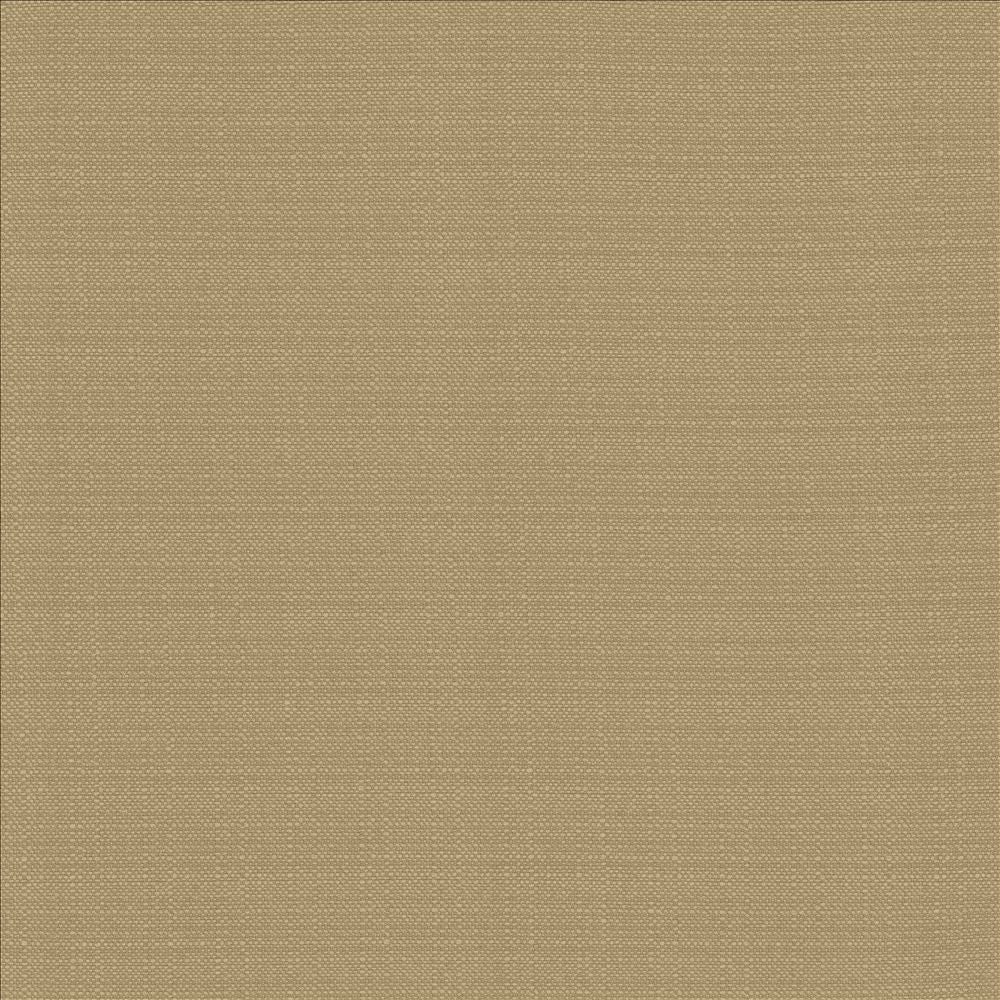 Resilient Mouse by Kasmir Fabric 5173 100% Polyester
 CHINA 100,000 Wyzenbeek Double Rubs Horizontal: N/A and Vertical: N/A 54 - Fabric Carolina -