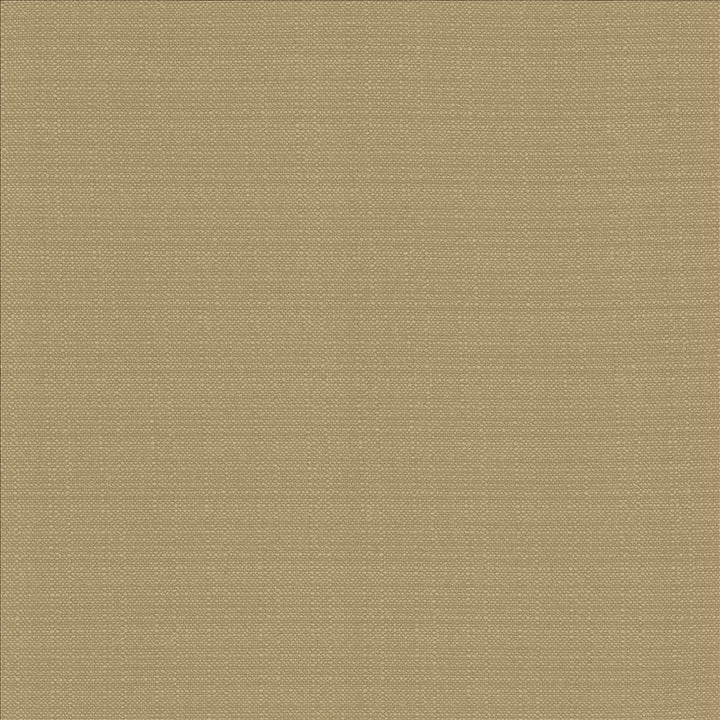 Resilient Mouse by Kasmir Fabric 5173 100% Polyester
 CHINA 100,000 Wyzenbeek Double Rubs Horizontal: N/A and Vertical: N/A 54 - Fabric Carolina -