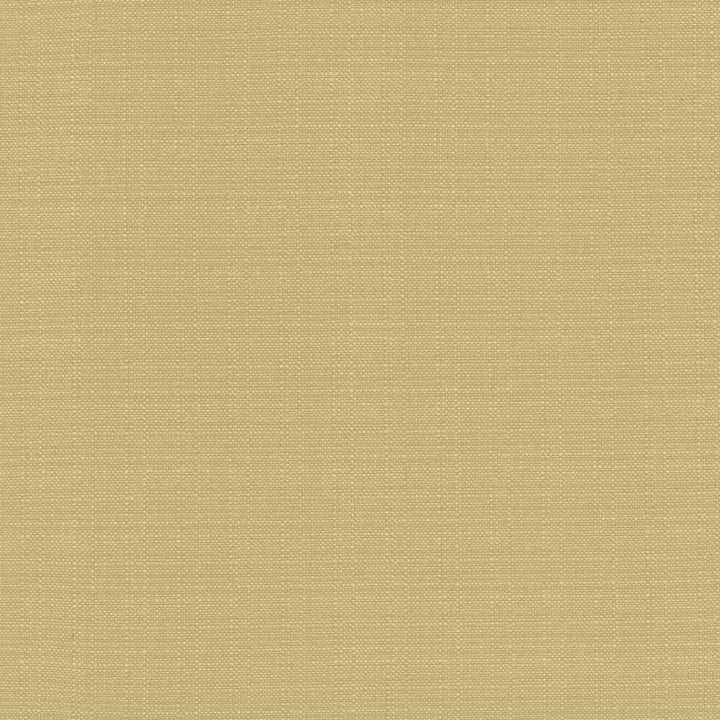 Resilient Ricepaper by Kasmir Fabric 5173 100% Polyester
 CHINA </p><p>Repeat: Horizontal: N/A and Vertical: N/A 54 - Fabric Carolina -