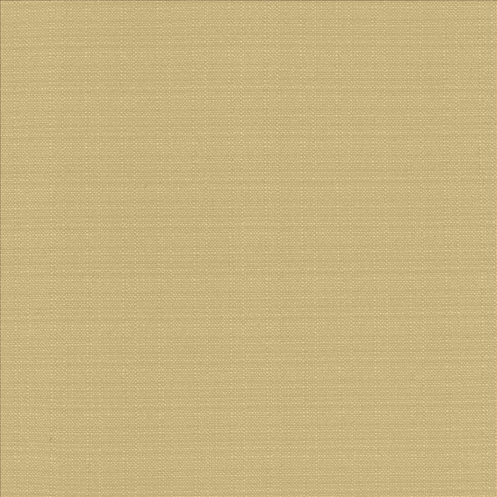 Resilient Ricepaper by Kasmir Fabric 5173 100% Polyester
 CHINA 100,000 Wyzenbeek Double Rubs Horizontal: N/A and Vertical: N/A 54 - Fabric Carolina -
