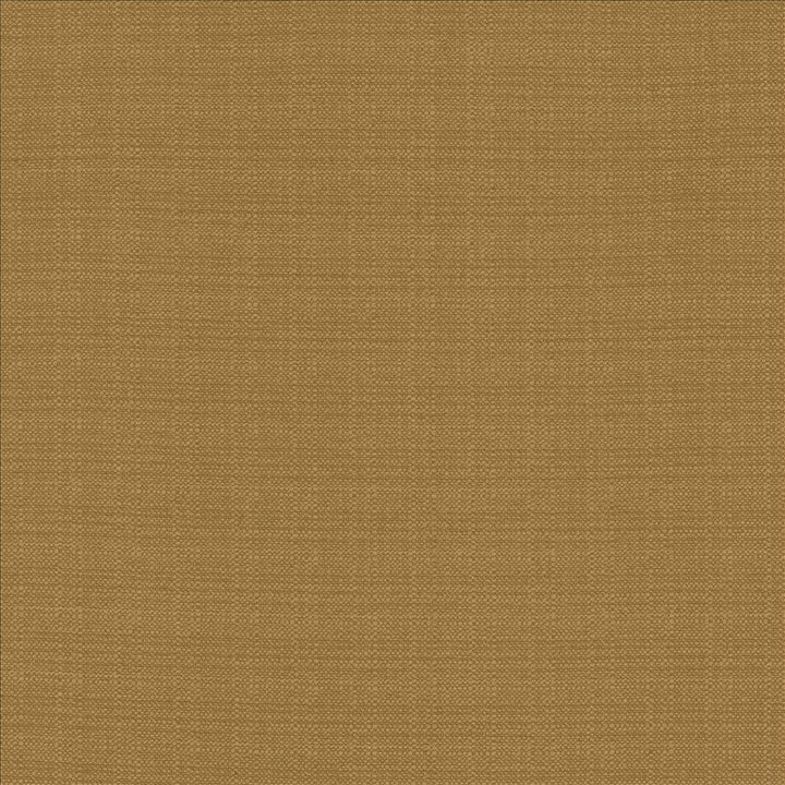 Resilient Tigerseye by Kasmir Fabric 5173 100% Polyester
 CHINA 100,000 Wyzenbeek Double Rubs </p><p>Repeat: Horizontal: N/A and Vertical: N/A 54 - Fabric Carolina -