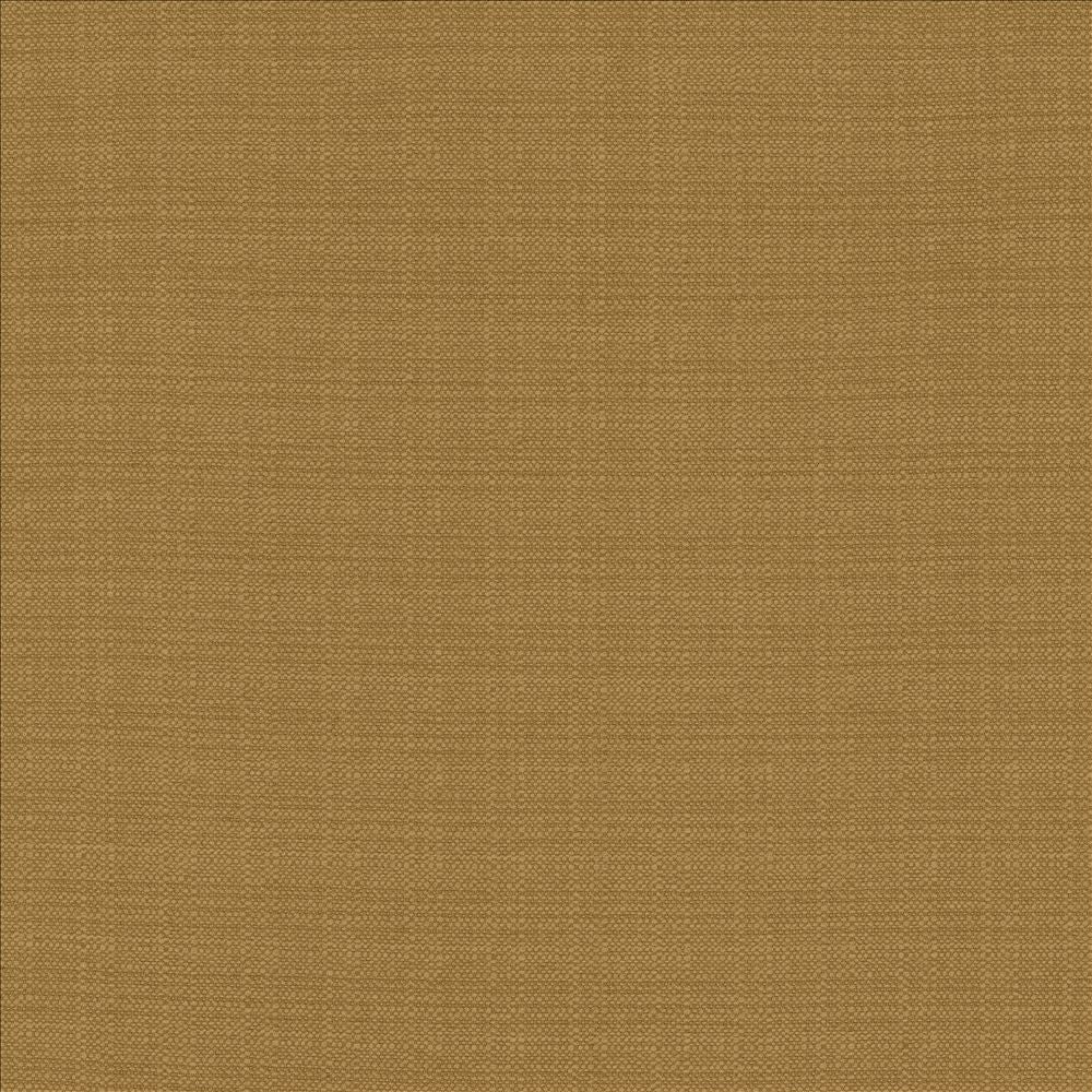 Resilient Tigerseye by Kasmir Fabric 5173 100% Polyester
 CHINA 100,000 Wyzenbeek Double Rubs Horizontal: N/A and Vertical: N/A 54 - Fabric Carolina -