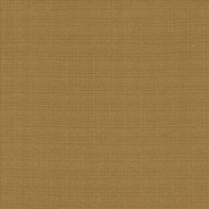Resilient Tigerseye by Kasmir Fabric 5173 100% Polyester
 CHINA 100,000 Wyzenbeek Double Rubs Horizontal: N/A and Vertical: N/A 54 - Fabric Carolina -