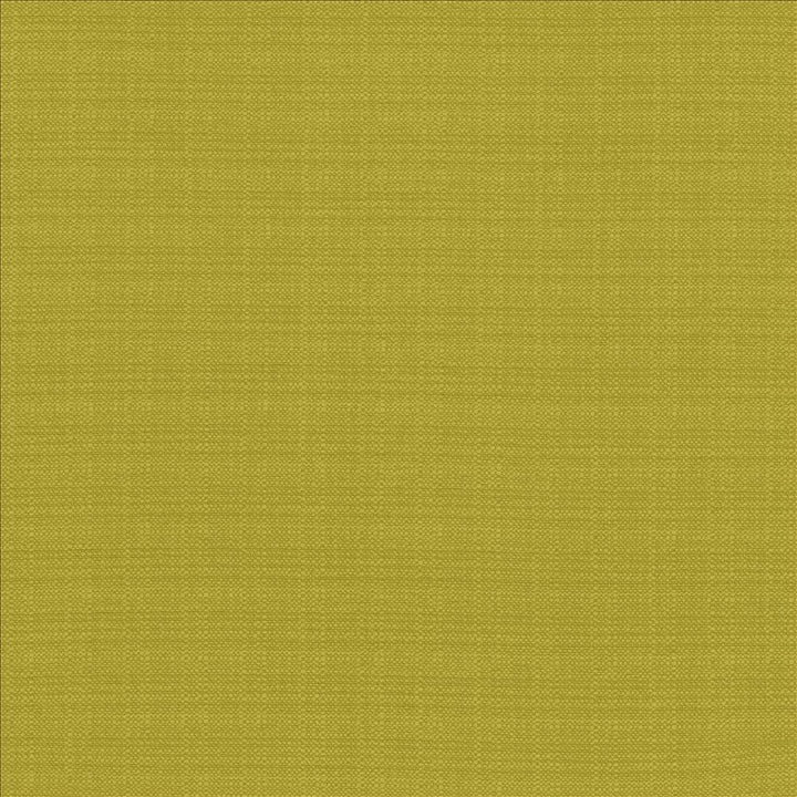 Resilient Wheatgrass by Kasmir Fabric 5173 100% Polyester
 CHINA 100,000 Wyzenbeek Double Rubs Horizontal: N/A and Vertical: N/A 54 - Fabric Carolina -