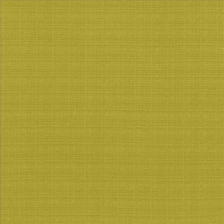Resilient Wheatgrass by Kasmir Fabric 5173 100% Polyester
 CHINA 100,000 Wyzenbeek Double Rubs </p><p>Repeat: Horizontal: N/A and Vertical: N/A 54 - Fabric Carolina -