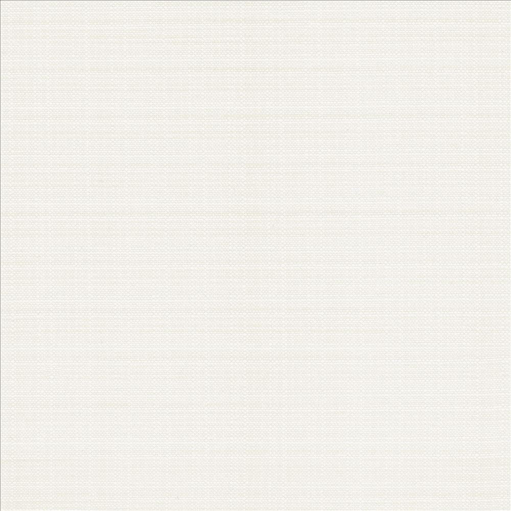 Resilient White by Kasmir Fabric 5173 100% Polyester
 CHINA </p><p>Repeat: Horizontal: N/A and Vertical: N/A 54 - Fabric Carolina -