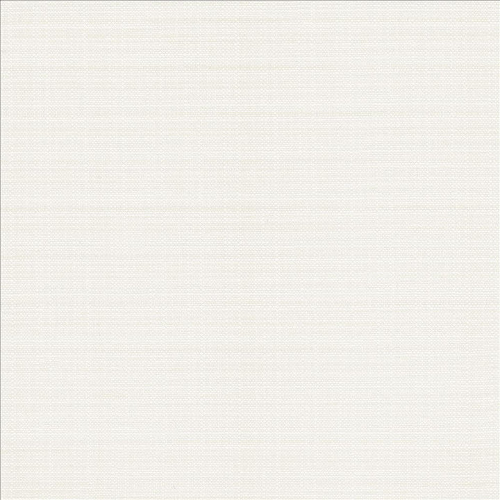 Resilient White by Kasmir Fabric 5173 100% Polyester
 CHINA </p><p>Repeat: Horizontal: N/A and Vertical: N/A 54 - Fabric Carolina -