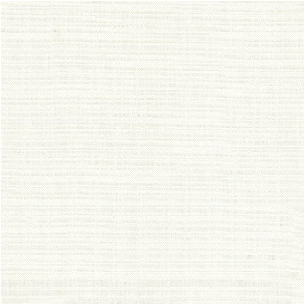 Resilient White by Kasmir Fabric 5173 100% Polyester
 CHINA 100,000 Wyzenbeek Double Rubs </p><p>Repeat: Horizontal: N/A and Vertical: N/A 54 - Fabric Carolina -