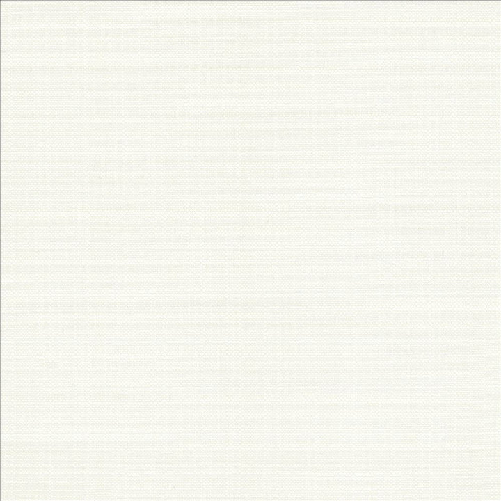 Resilient White by Kasmir Fabric 5173 100% Polyester
 CHINA 100,000 Wyzenbeek Double Rubs </p><p>Repeat: Horizontal: N/A and Vertical: N/A 54 - Fabric Carolina -