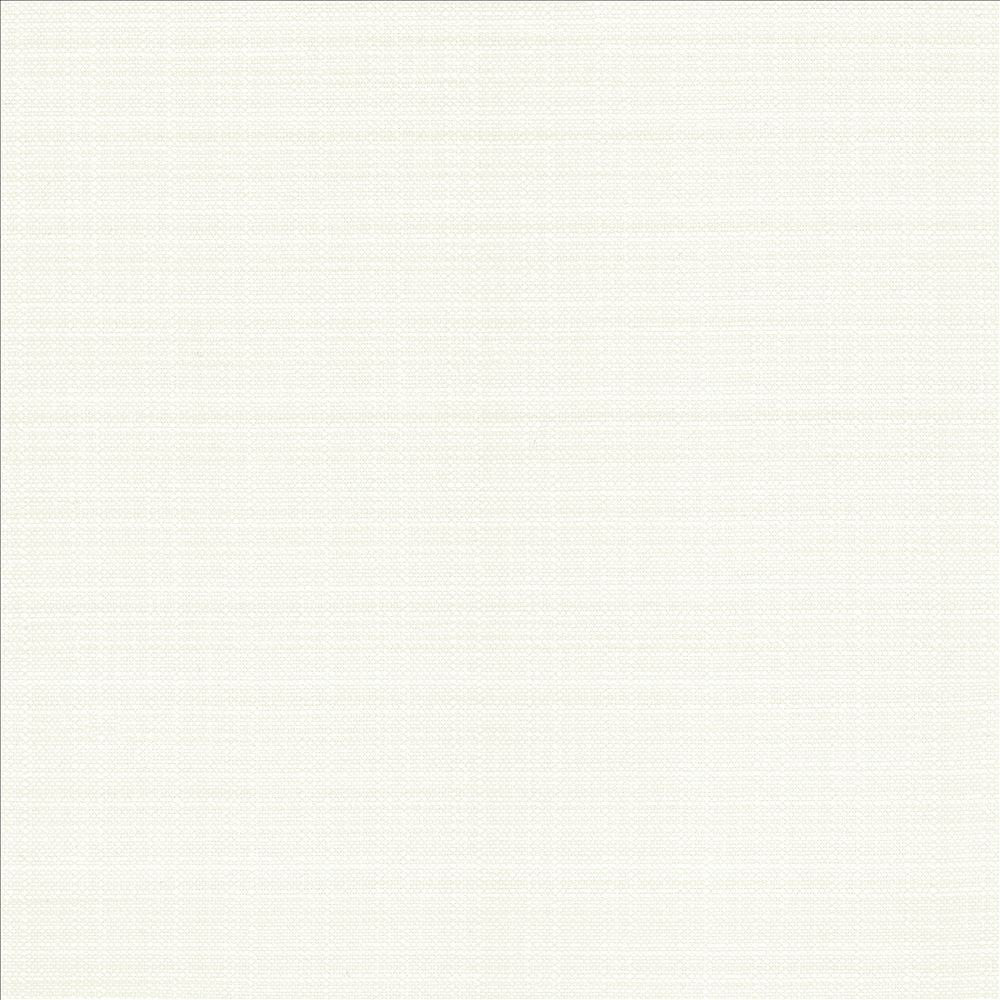 Resilient White by Kasmir Fabric 5173 100% Polyester
 CHINA 100,000 Wyzenbeek Double Rubs Horizontal: N/A and Vertical: N/A 54 - Fabric Carolina -