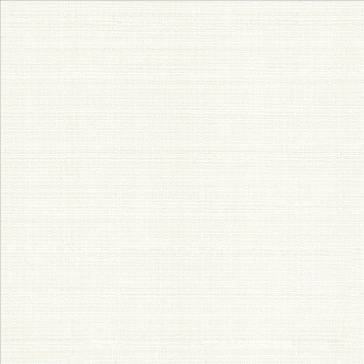 Resilient White by Kasmir Fabric 5173 100% Polyester
 CHINA 100,000 Wyzenbeek Double Rubs Horizontal: N/A and Vertical: N/A 54 - Fabric Carolina -