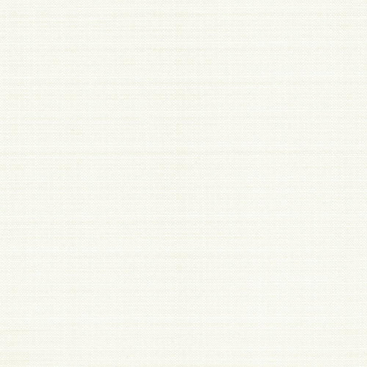 Resilient White by Kasmir Fabric 5173 100% Polyester
 CHINA </p><p>Repeat: Horizontal: N/A and Vertical: N/A 54 - Fabric Carolina -