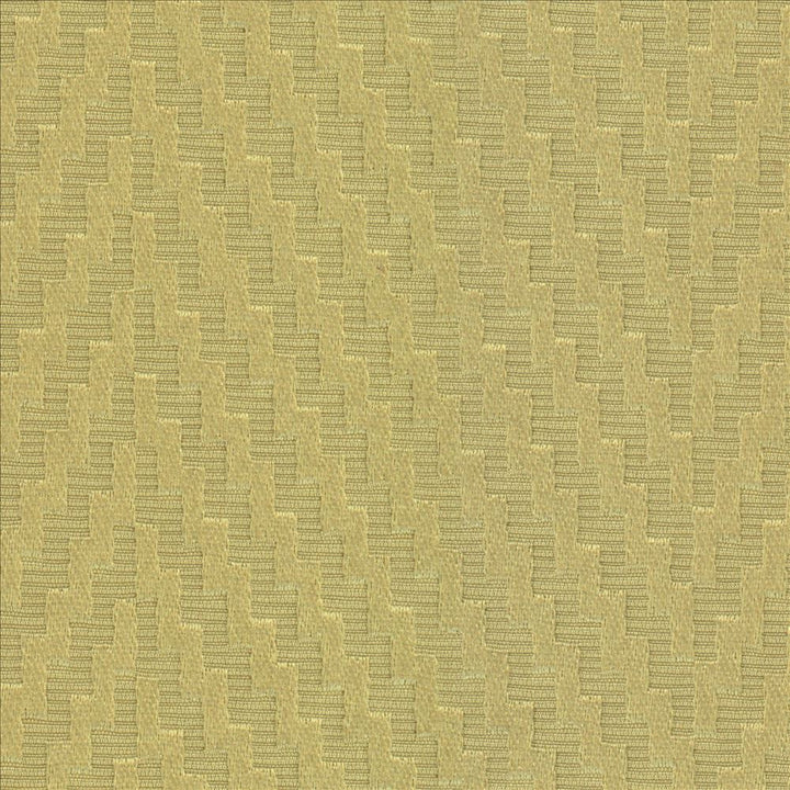 Resonate Spring Leaf by Kasmir Fabric 5099 65% Cotton
35% Polyester
 CHINA 15,000 Wyzenbeek Double Rubs Horizontal: 7 inches and Vertical: 1 inches 55 - Fabric Carolina -