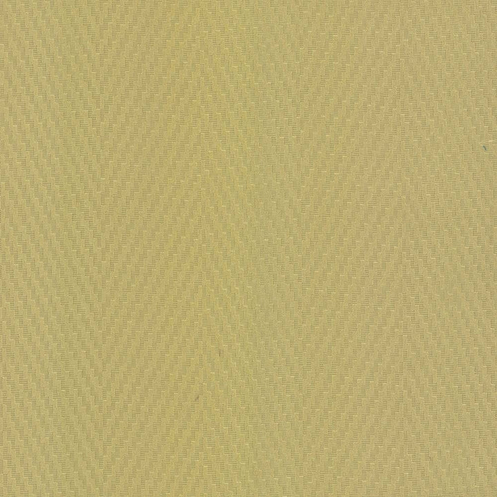 Resonate Spring Leaf by Kasmir Fabric 5099 CHINA 15,000 Wyzenbeek Double Rubs H: 7 inches, V:1 inches 55 - Fabric Carolina - Kasmir