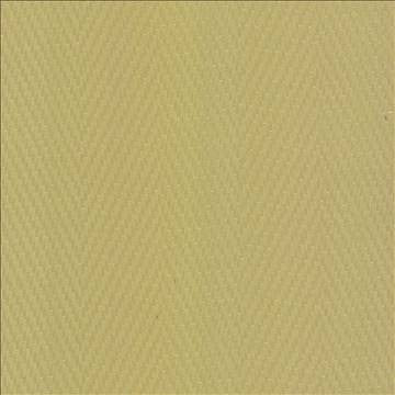Resonate Spring Leaf by Kasmir Fabric 5099 65% Cotton 35% Polyester CHINA 15,000 Wyzenbeek Double Rubs H: 7 inches, V: 1 inches 55 - Fabric Carolina - Kasmir