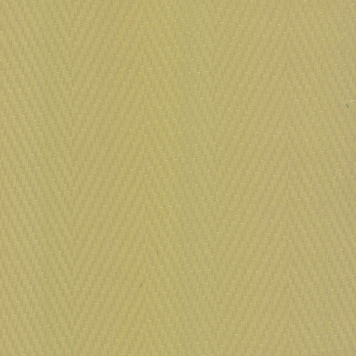 Resonate Spring Leaf by Kasmir Fabric 5099 65% Cotton
35% Polyester
 CHINA </p><p>Repeat: Horizontal: 7 inches and Vertical: 1 inches 55 - Fabric Carolina -
