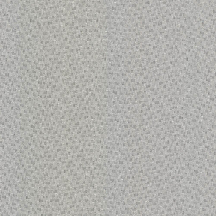 Resonate Sterling by Kasmir Fabric 5100 65% Cotton
35% Polyester
 CHINA </p><p>Repeat: Horizontal: 7 inches and Vertical: 1 inches 55 - Fabric Carolina -
