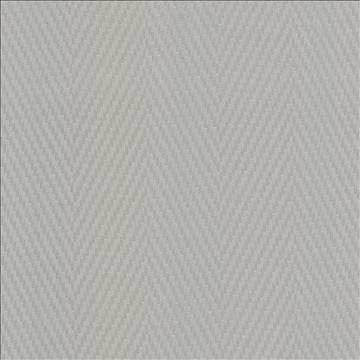 Resonate Sterling by Kasmir Fabric 5100 65% Cotton 35% Polyester CHINA 15,000 Wyzenbeek Double Rubs H: 7 inches, V: 1 inches 55 - Fabric Carolina - Kasmir