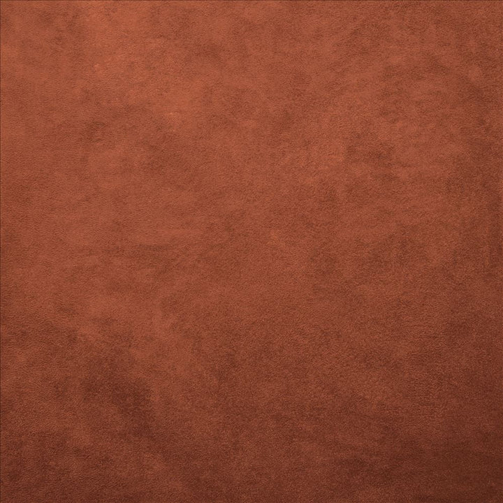 Retrospective Brick by Kasmir Fabric 5169 100% Polyester
 CHINA 60,000 Wyzenbeek Double Rubs Horizontal: N/A and Vertical: N/A 58 - Fabric Carolina -