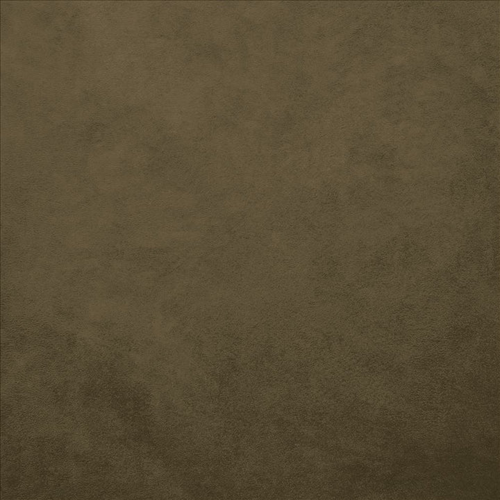 Retrospective Brown by Kasmir Fabric 5169 100% Polyester
 CHINA </p><p>Repeat: Horizontal: N/A and Vertical: N/A 58 - Fabric Carolina -