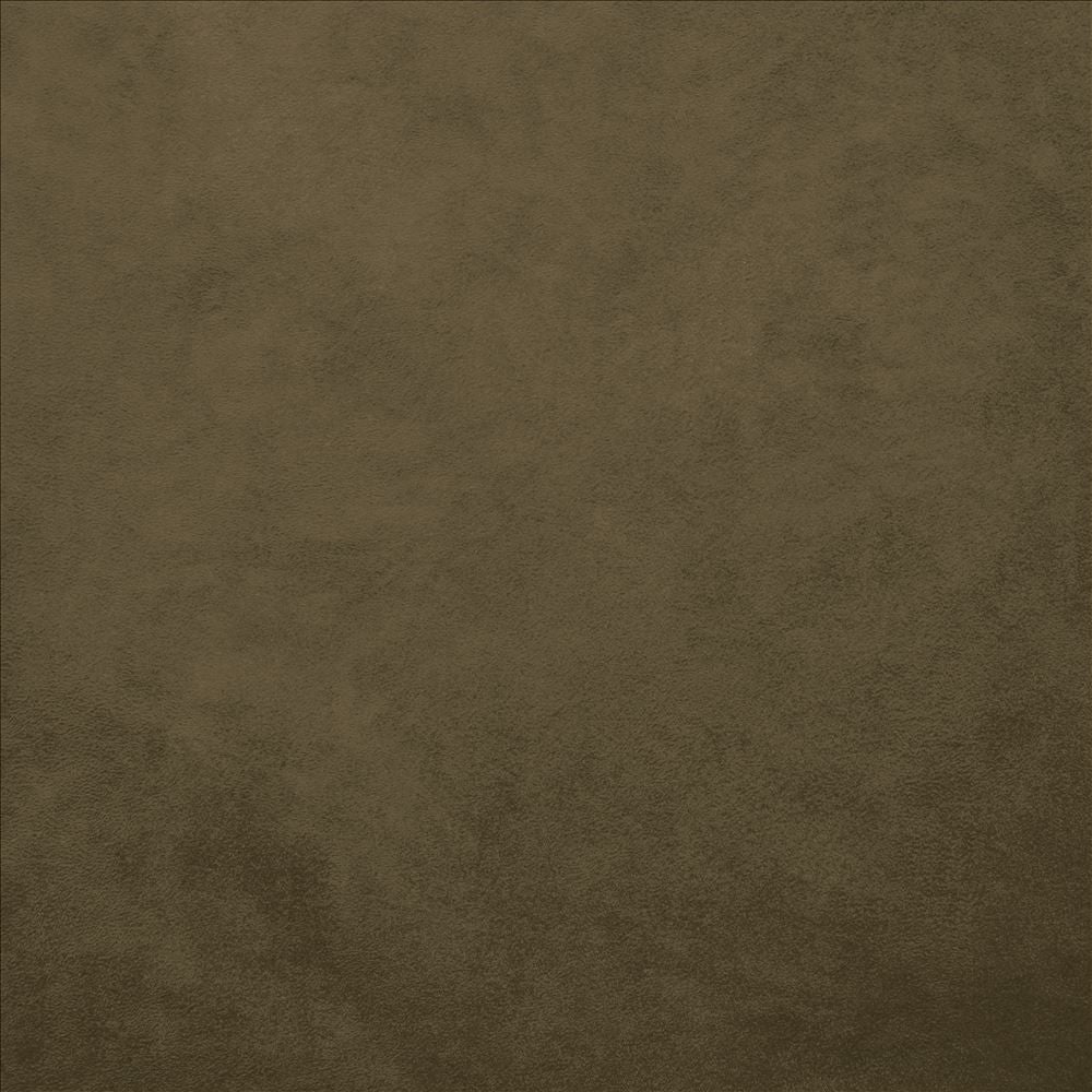 Retrospective Brown by Kasmir Fabric 5169 100% Polyester
 CHINA </p><p>Repeat: Horizontal: N/A and Vertical: N/A 58 - Fabric Carolina -