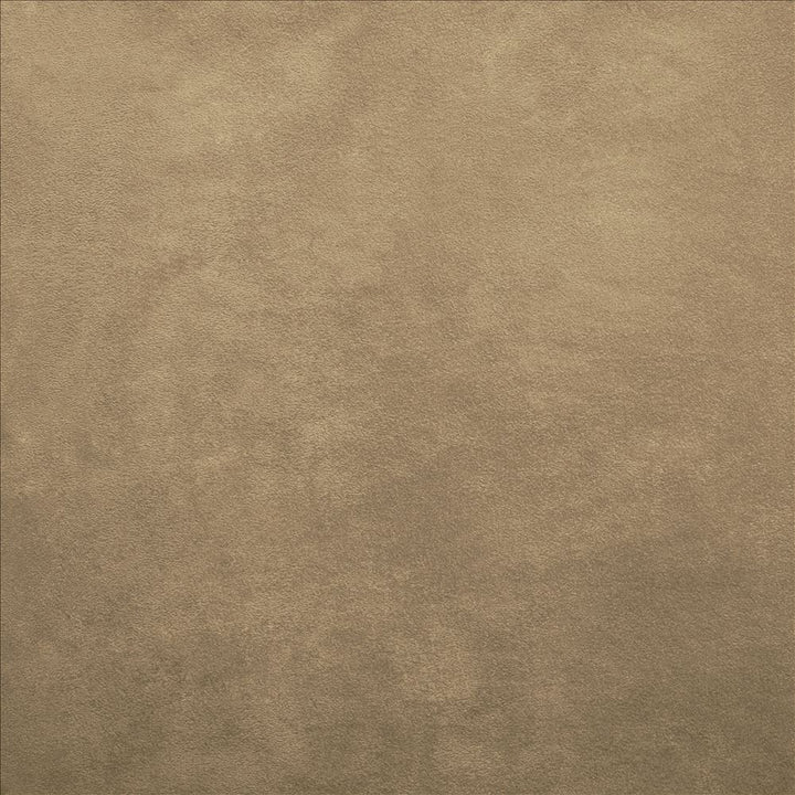 Retrospective Buckskin  by Kasmir Fabric See sample 100% Polyester
 CHINA 60,000 Wyzenbeek Double Rubs </p><p>Repeat: Horizontal: N/A and Vertical: N/A 58  - Fabric Carolina -