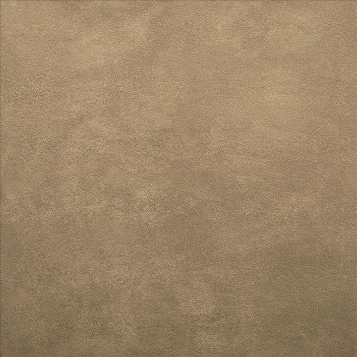 Retrospective Buckskin by Kasmir Fabric 5169 100% Polyester
 CHINA 60,000 Wyzenbeek Double Rubs </p><p>Repeat: Horizontal: N/A and Vertical: N/A 58 - Fabric Carolina -