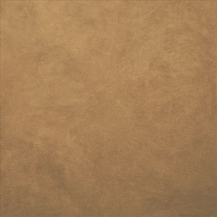Retrospective Camel by Kasmir Fabric 5169 100% Polyester
 CHINA </p><p>Repeat: Horizontal: N/A and Vertical: N/A 58 - Fabric Carolina -