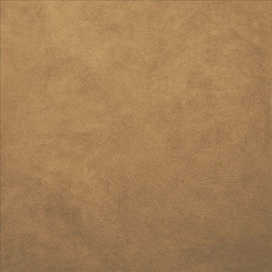 Retrospective Camel by Kasmir Fabric