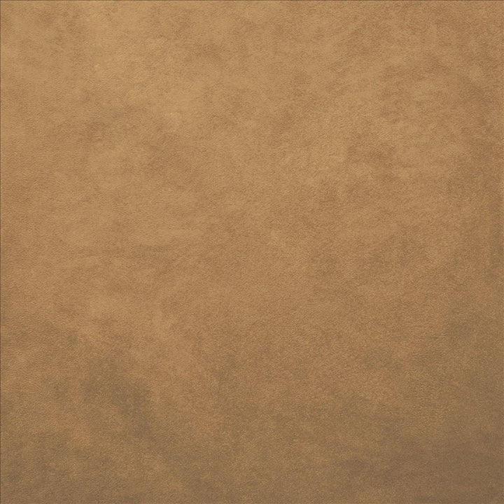 Retrospective Camel by Kasmir Fabric 5169 100% Polyester
 CHINA 60,000 Wyzenbeek Double Rubs </p><p>Repeat: Horizontal: N/A and Vertical: N/A 58 - Fabric Carolina -