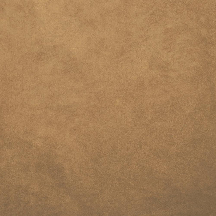 Retrospective Camel by Kasmir Fabric 5169 100% Polyester
 CHINA </p><p>Repeat: Horizontal: N/A and Vertical: N/A 58 - Fabric Carolina -