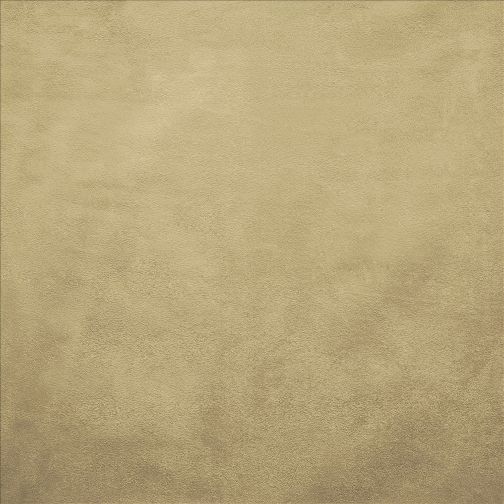 Retrospective Cream by Kasmir Fabric 5169 100% Polyester
 CHINA </p><p>Repeat: Horizontal: N/A and Vertical: N/A 58 - Fabric Carolina -
