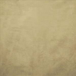 Retrospective Cream by Kasmir Fabric