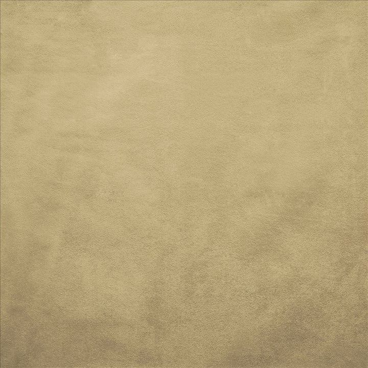 Retrospective Cream by Kasmir Fabric 5169 100% Polyester
 CHINA 60,000 Wyzenbeek Double Rubs </p><p>Repeat: Horizontal: N/A and Vertical: N/A 58 - Fabric Carolina -