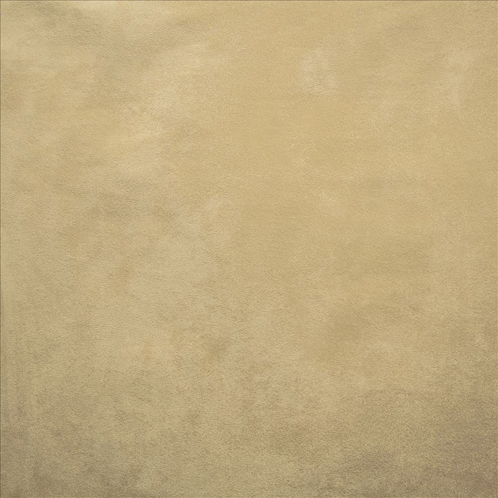 Retrospective Fawn by Kasmir Fabric 5169 100% Polyester
 CHINA </p><p>Repeat: Horizontal: N/A and Vertical: N/A 58 - Fabric Carolina -