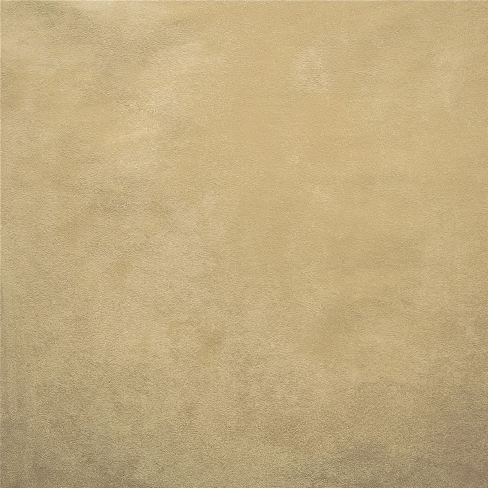 Retrospective Fawn by Kasmir Fabric 5169 100% Polyester
 CHINA 60,000 Wyzenbeek Double Rubs </p><p>Repeat: Horizontal: N/A and Vertical: N/A 58 - Fabric Carolina -