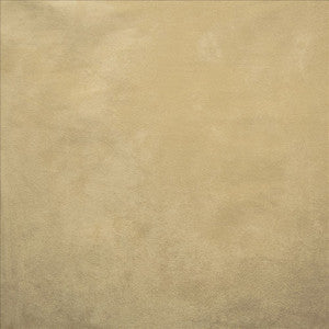 Retrospective Fawn by Kasmir Fabric
