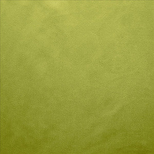 Retrospective Iguana by Kasmir Fabric