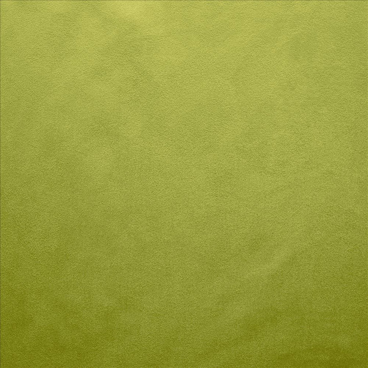 Retrospective Iguana by Kasmir Fabric 5169 100% Polyester
 CHINA </p><p>Repeat: Horizontal: N/A and Vertical: N/A 58 - Fabric Carolina -