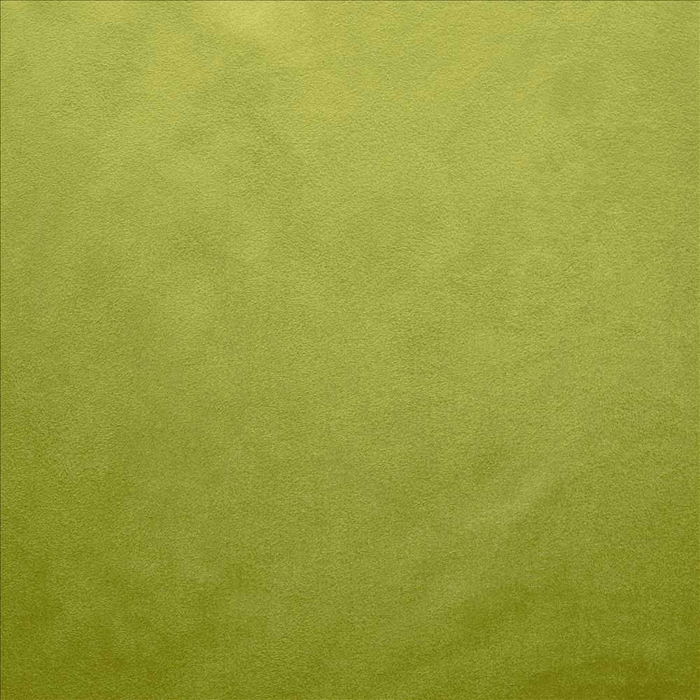 Retrospective Iguana  by Kasmir Fabric See sample 100% Polyester
 CHINA 60,000 Wyzenbeek Double Rubs </p><p>Repeat: Horizontal: N/A and Vertical: N/A 58  - Fabric Carolina -