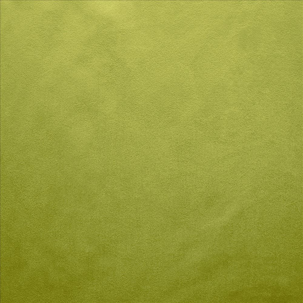 Retrospective Iguana by Kasmir Fabric 5169 100% Polyester
 CHINA 60,000 Wyzenbeek Double Rubs </p><p>Repeat: Horizontal: N/A and Vertical: N/A 58 - Fabric Carolina -