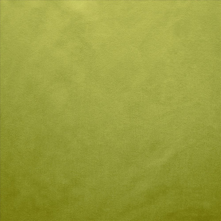 Retrospective Iguana by Kasmir Fabric 5169 100% Polyester
 CHINA 60,000 Wyzenbeek Double Rubs </p><p>Repeat: Horizontal: N/A and Vertical: N/A 58 - Fabric Carolina -