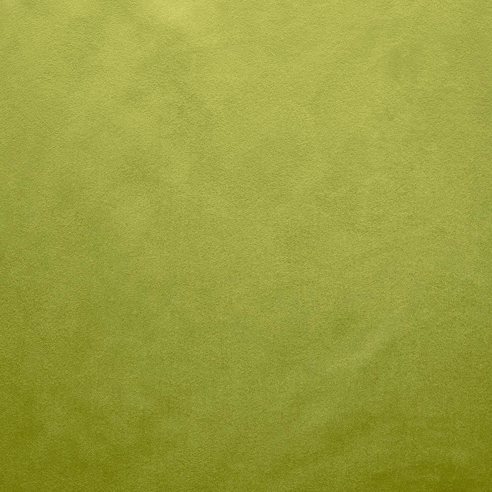 Retrospective Iguana by Kasmir Fabric 5169 100% Polyester
 CHINA </p><p>Repeat: Horizontal: N/A and Vertical: N/A 58 - Fabric Carolina -
