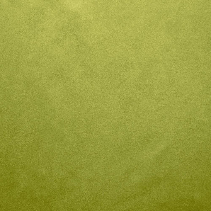 Retrospective Iguana by Kasmir Fabric 5169 100% Polyester
 CHINA </p><p>Repeat: Horizontal: N/A and Vertical: N/A 58 - Fabric Carolina -
