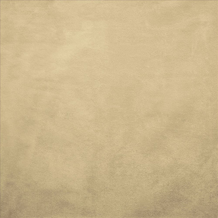Retrospective Ivory by Kasmir Fabric 5169 100% Polyester
 CHINA 60,000 Wyzenbeek Double Rubs </p><p>Repeat: Horizontal: N/A and Vertical: N/A 58 - Fabric Carolina -