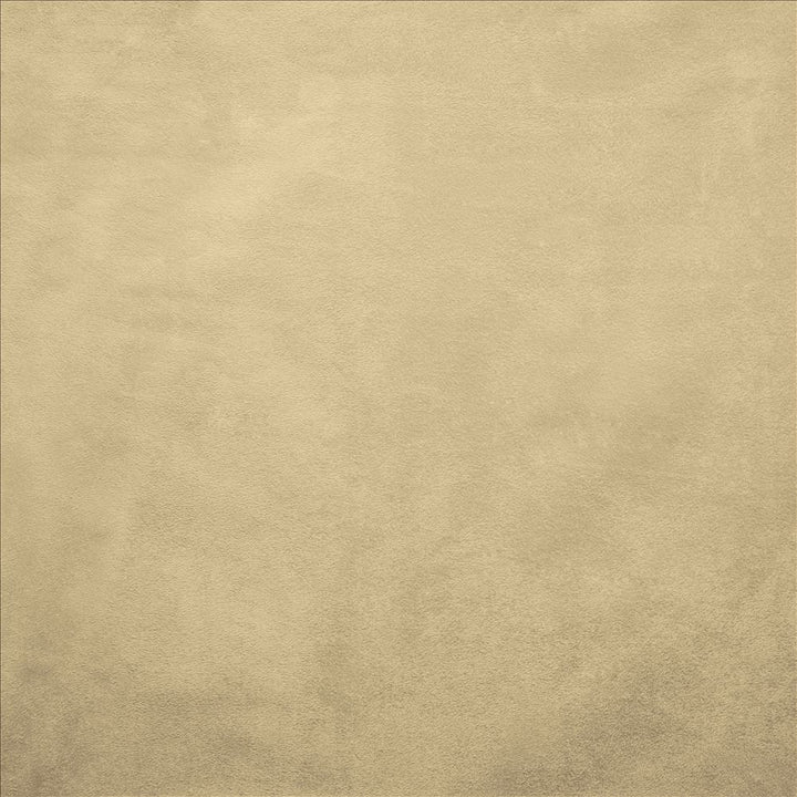 Retrospective Ivory  by Kasmir Fabric See sample 100% Polyester
 CHINA 60,000 Wyzenbeek Double Rubs </p><p>Repeat: Horizontal: N/A and Vertical: N/A 58  - Fabric Carolina -