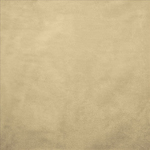 Retrospective Ivory by Kasmir Fabric