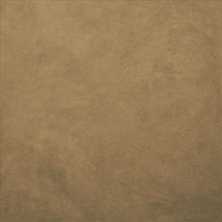 Retrospective Khaki by Kasmir Fabric 5169 100% Polyester
 CHINA 60,000 Wyzenbeek Double Rubs </p><p>Repeat: Horizontal: N/A and Vertical: N/A 58 - Fabric Carolina -